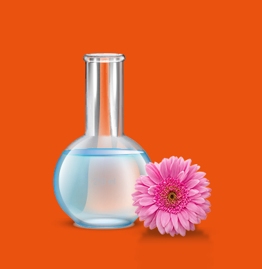 //perspectiwitty.in/kcpl/wp-content/uploads/2024/02/Below-Banner-Aroma-Chemicals2.png